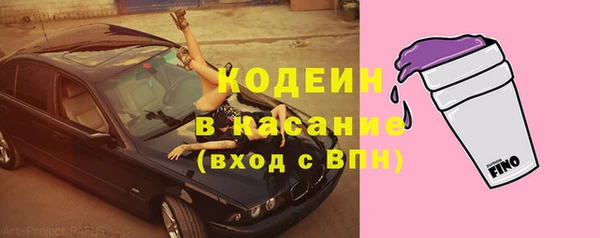 PSILOCYBIN Богданович