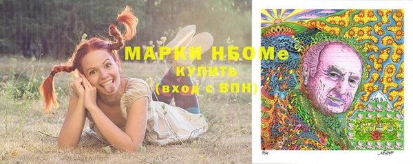 PSILOCYBIN Богданович