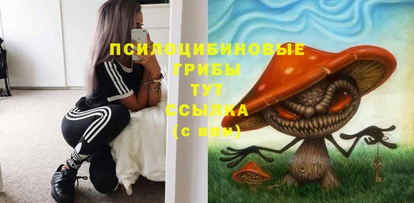 PSILOCYBIN Богданович