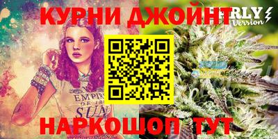 СК Краснодар