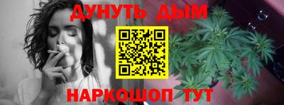 СК Краснодар