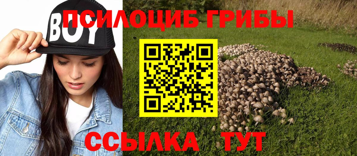 Псилоцибиновые грибы Magic Shrooms  Вход с VPN  Острогожск 