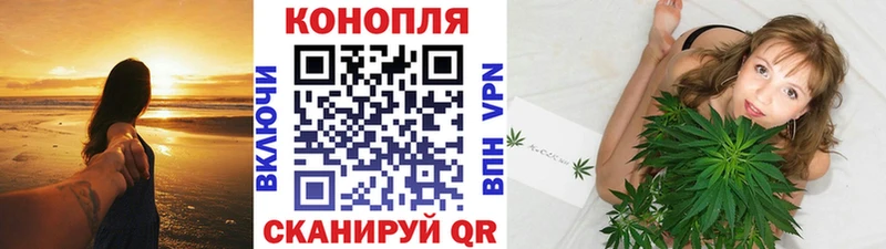 omg tor  Острогожск  Бошки марихуана план  продажа наркотиков 