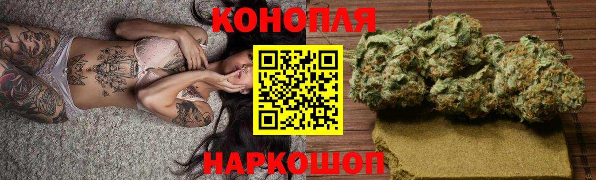 Конопля гибрид Острогожск